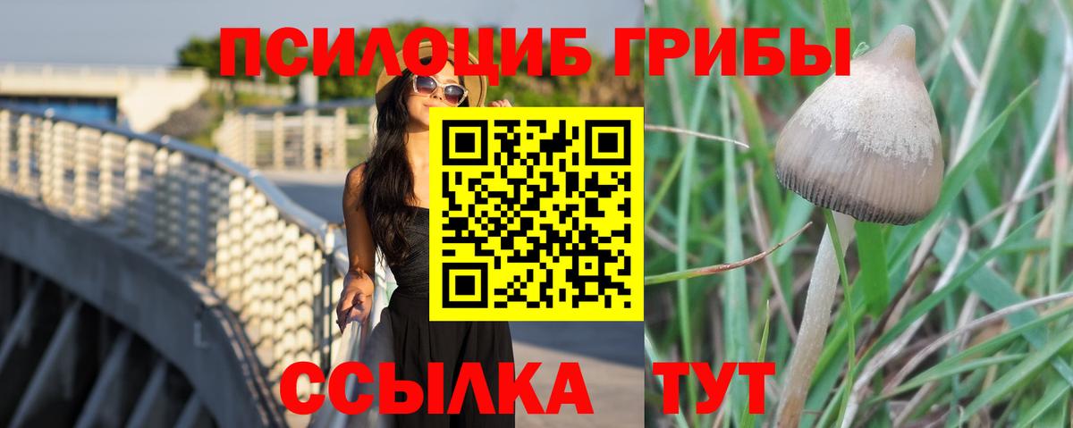 Галлюциногенные грибы GOLDEN TEACHER Нерюнгри